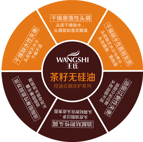頭皮護理方案